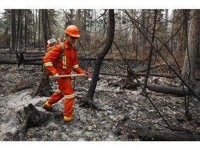 Alberta has implemented an earlier start to wildfire season since the devastating Slave Lake fires in 2011.