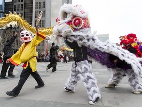 The Happy Buddha walks amid lions during a Chinese New Year celebration outside of the Chinese Cultural Centre in downtown Calgary on Sunday. As many in the city's Chinese community celebrate the Chinese New Year today, a group wil march on City Hall to protest land-use changes they say are a threat to the integrity of Chinatown.