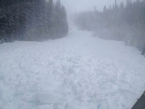 An avalanche at Tent Ridge in Spray Lakes Provincial Park, part of Kananaskis Country.
