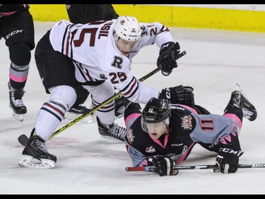 Calgary Hitmen Beck Malenstyn is hauled down by Red Deer Rebels Adam Musil in WHL action at the Scotiabank Saddledome in Calgary, Alberta, on Sunday, March 6. The Hitmen lost to the Rebels 4-3. Mike Drew/Postmedia