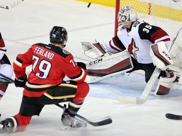 Calgary Flames Micheal Ferland, left takes a shot on Arizona Coyotes goalie Louis Domingue during NHL hockey action at the Scotiabank Saddledome in Calgary, Alta. on Friday March 11, 2016. Leah Hennel/Postmedia