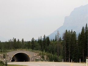 A wildlife crossing over the Trans-Canada Highway in Banff National Park in August 2012.