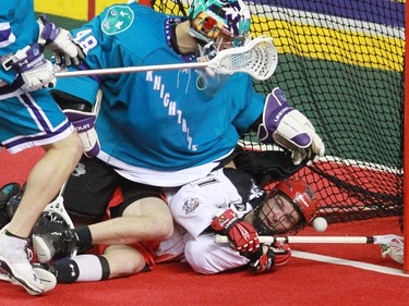 The Calgary Roughnecks' Greg Harnett scores on Rochester Knighthawks goaltender Matt Vinc during National Lacrosse League action at the Scotiabank Saddledome in Calgary on Saturday March 5, 2016. Calgary lost 9-8 in overtime.