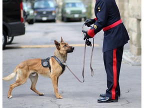 Constable Will Glover attends his k9 partner Marco's grad from the K9 Unit training in Calgary.