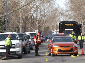 Calgary police investigate at the scene of a pedestrian/ car accident in the 7000 block of Temple Dr NE in Calgary on Sunday, March 27, 2016. Police say the young woman who was struck by the car ran out from between two parked vehicles and the victim is in life-threatening condition in hospital.