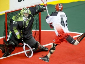 Dane Dobbie of the Calgary Roughnecks shows his offensive prowess scoring past Saskatchewan Rushgoalie Aaron Bold during NLL action. Debbie is the offensive catalyst for the Roughnecks.