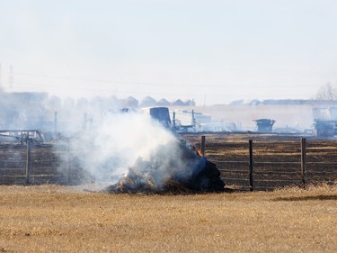 A grass fire southeast of Airdrie near Delacour grew and damaged at least one building and multiple vehicles. Crews had the fire under control by around 4 p.m. on Tuesday, March 29, 2016 in Airdrie, Alta.