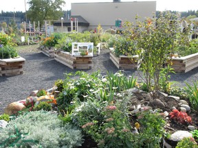 Parkdale Community Garden.