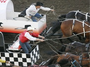 Officials at the Calgary Stampede have made changes to improve chuckwagon safety this year. (File photo)