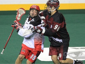 The Calgary Roughnecks and Colorado Mammoth are two NLL organizations that follow the model of teams that belong to organizations with multiple professional sports organizations under one umbrella.