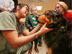 Third-year veterinary student Virginia Woo checks out Zookie while his pals Cheryl Carrick and Jasper Weselowski stand by at the University of Calgary Faculty of Veterinary Medicine/CUPS Pet Health Clinic for CUPS clients at the CUPS office in Calgary, on Thursday March 3, 2016.