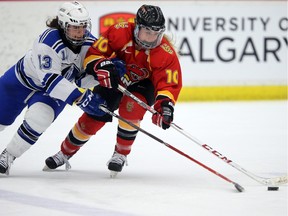 University of Calgary Dinos #10  fights for puck possession against Montreal Carabins #13 Alexandra Labelle during 2016 CIS Women's Hockey Championships quarter-final action Friday night at Winsport. Photo by David Moll, Dinos Athletics