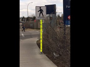 These reflective sleeves delineating crosswalks are inexpensive and easy to install.