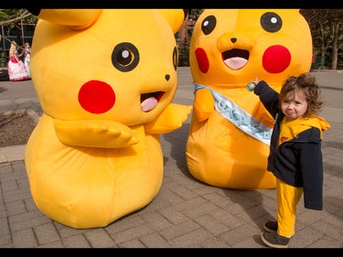 Annabelle Lerner, 18 mos.,  thrilled to meet fellow Pikachus at the annual Parade of Wonders that kicks off the Calgary Comic & Entertainment Expo at the BMO Centre in Calgary, Ab., on Friday April 29, 2016. Mike Drew/Postmedia