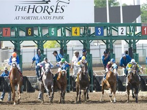 Northlands Park in Edmonton has announced the 2016 season will be its last in the horse racing game, a run that started way back in 1905. However, some are holding out hope that Northlands will reverse the decision.