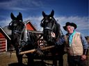 Ross Fritz con sus nuevos caballos Percheron en el Sitio Histórico Nacional Bar U Ranch Boca, a la izquierda y Tira, que lleva el nombre del Mayor George Bocaterra.