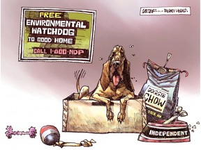 Calgary Herald editorial cartoon by John Larter for April 7, 2016: NDP get rid of oilsands environmental watchdog.