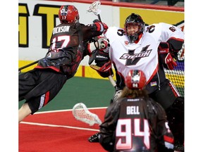 Calgary Roughnecks Curtis Dickson, left, scores on Vancouver Stealth goalie Eric Penney during their game at the Scotiabank Saddledome in Calgary, Alta. on Saturday April 9, 2016. Leah Hennel/Postmedia