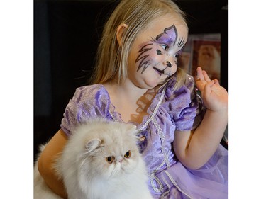 Sascha, 3, plays with Bambino at the annual Calgary Cat Show at Ed Whalen Arena in Calgary, AB., on Saturday, April 16, 2016. The show features feline fun and  several animal rescues to participate and offer cats for adoption.