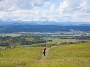 Not only does the Leighton Art Centre offer a top-notch gallery, but the views are jaw-dropping as well.