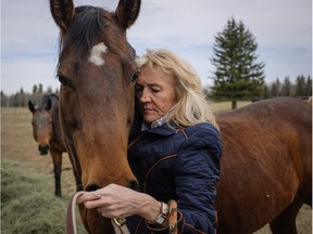 Mary Robinson halters her horse Jewel in a paddock on her ranch beside the Elbow River where a reservoir will be if government plans go ahead, near Bragg Creek.