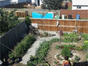 John Berlie's yard has been converted to permaculture.