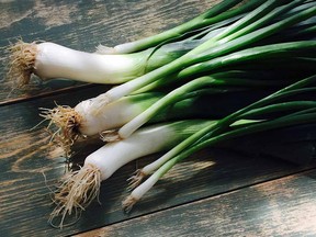 Spring-Onions-5