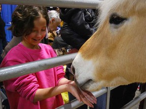 Aggie Days hit Stampede Park Saturday and Sunday.