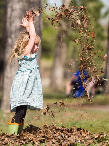 Four-year-old Lexie Olsen plays in a pile of leaves in Bowness Park in Calgary on Tuesday, April 19, 2016. The city was poised to a break a temperature record set in 1910 when 26.7 C was recorded.