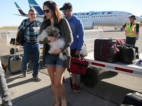 Evacuees that were stranded in camps around Fort McMurray get off a WestJet flight in Calgary on Friday May 6, 2016.