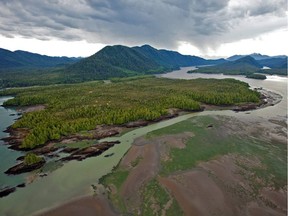 Looking across Flora Bank at low tide to the Pacific NorthWest LNG site on Lelu Island, near Prince Rupert, B.C.