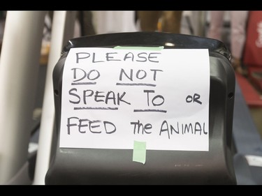 A sign sits on Dave Proctor's treadmill during the Calgary Marathon Expo at the Big Four Building in Calgary, Alta., on Saturday, May 28, 2016. Seven world records for treadmill running were broken, including Dave Proctor's 24-hour run, all in support of MitoCanada. Lyle Aspinall/Postmedia Network