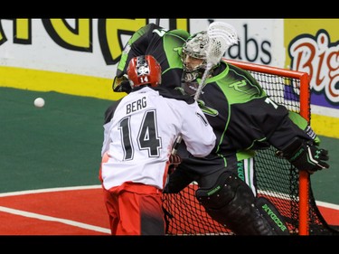 Calgary Roughnecks Wesley Berg fires a shot at Saskatchewan Rush goalie Aaron Bold in NLL action at the Scotiabank Saddledome in Calgary, Alta. on Saturday May 14, 2016. Mike Drew/Postmedia
