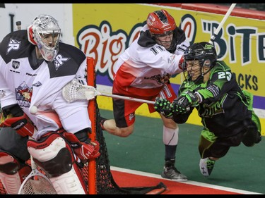 Saskatchewan Rush Jarrett Davis tries to jam a shot in from the side against Calgary Roughnecks goalie Mike Poulin as he's checked by Greg Harnett in NLL action at the Scotiabank Saddledome in Calgary, Alta. on Saturday, May 14, 2016. The Rush beat the Roughnecks 16-10. Mike Drew/Postmedia