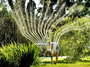 Put some thought into how often and when you water the garden and  lawn.