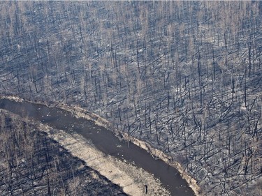 Burnt out trees are shown in Fort McMurray, Alta., on Friday, May 13, 2016.