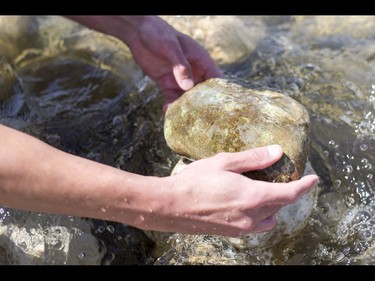 A young man who would only be identified as 'Show Biz' tediously builds cairns, or 'living rocks', in the Bow River at Prince's Island Park in downtown Calgary, Alta., on Wednesday, May 18, 2016. Show Biz says his cairns serve a variety of artistic, therapeutic and calming purposes, his favourite of which is creating a sense of welcomeness and community in an area too often hit with petty crime. Lyle Aspinall/Postmedia Network