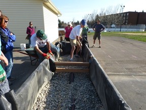 Co-operation is key to a successful community garden. Credit Calgary Horticultural Society