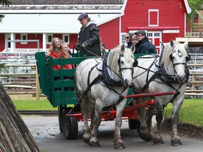 Visitors enjoy a wagon ride on a cool rainy morning at Heritage Park on Victoria Day, Monday, May 23, 2016.