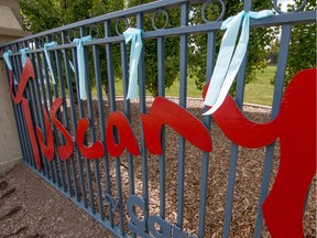 Hundreds of blue ribbons festoon fences and trees to honour a child was run down in the Tuscany neighbourhood in Calgary, Ab., on Sunday May 29, 2016. Mike Drew/Postmedia