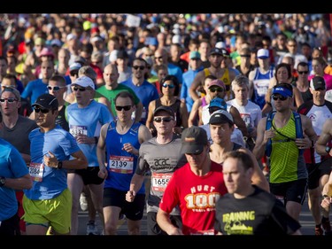 Runners break from the starting line for the Calgary Marathon at the Stampede Grounds in Calgary, Alta., on Sunday, May 29, 2016. There were 5k, 10k, 21.1k, 42.2k and 50k distances in the race, including the half-marathon national championships. Lyle Aspinall/Postmedia Network