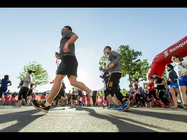 Runners hit the pavement during the Calgary Marathon at the Stampede Grounds in Calgary, Alta., on Sunday, May 29, 2016. There were 5k, 10k, 21.1k, 42.2k and 50k distances in the race, including the half-marathon national championships. Lyle Aspinall/Postmedia Network