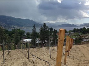 The $5.2-million Play Estate Winery, located above Skaha Lake, will open its 160-seat The Restaurant at Play and a tasting room overlooking the lake in early June to members of the Penticton Indian Band Development, friends and family, followed by a welcome to the general public for a first tasting of its wines.