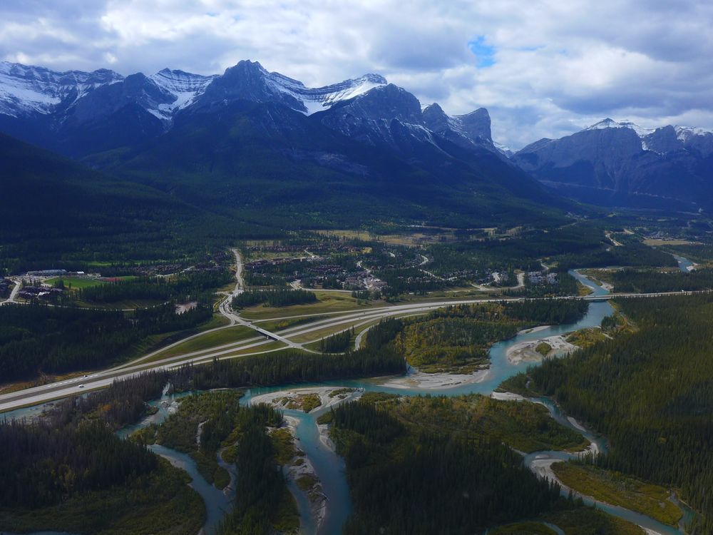 Wildlife at centre of dispute between Canmore and Dead Man's Flats