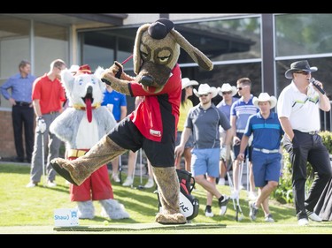 Ralph the Dog, the Calgary Stampeders mascot, steps in for a tee shot during Shaw Charity Classic's annual Shootout at the Meadows at Canyon Meadows Golf and Country Club in Calgary, Alta., on Wednesday, May 18, 2016. The celebrity-and-media closest-to-the-pin driving contest is a precursor to the Shaw Charity Classic golf tournament set to begin Aug. 31. Lyle Aspinall/Postmedia Network