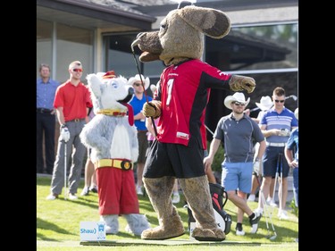 Ralph the Dog, the Calgary Stampeders mascot, boasts about his tee shot during Shaw Charity Classic's annual Shootout at the Meadows at Canyon Meadows Golf and Country Club in Calgary, Alta., on Wednesday, May 18, 2016. The celebrity-and-media closest-to-the-pin driving contest is a precursor to the Shaw Charity Classic golf tournament set to begin Aug. 31. Lyle Aspinall/Postmedia Network