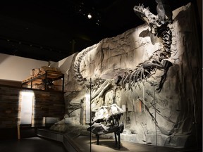 The new Foundations exhibit at the Royal Tyrrell Museum, opened May 20, 2016.