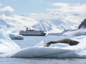 The Ocean Nova  in Antarctica, an other-wordly adventure.