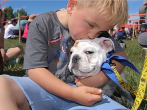 Babadook can't help but smile as he gets a smooch from his person Hutton McRoberts at the annual Calgary Humane Society Dog Jog at South Glenmore Park in Calgary. The day saw a Guiness record set for the most dogs wearing bandannas with over 765 bandanna-clad dogs.