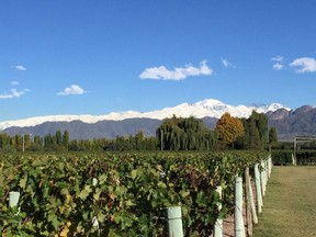 A view of the Andes from Cheval des Andes Winery. To accompany an upcoming travel story about Malbec in Argentina. (Lisa Kadane/Postmedia)